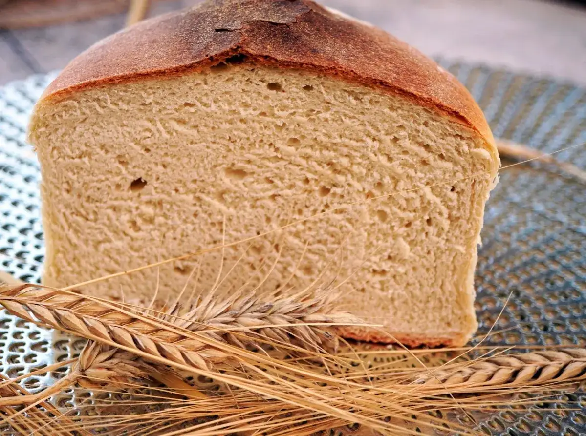 Pęknięcia na chlebie podczas pieczenia to naturalny proces. Oto przekrój świeżego bochenka z kłosami zbóż.